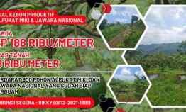 Kebun Produktif Alpukat di Bandung