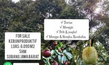 Tanah Dijual di Subang