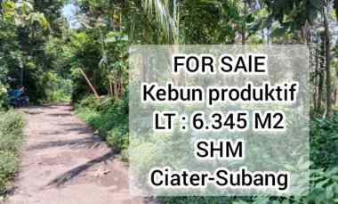 Kebun Produktif, Daerah Ciater Subang Jawa Barat
