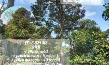 Kebun Produktif, Daerah Jalan Cagak Subang Jawa Barat