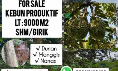 Tanah Dijual di Subang