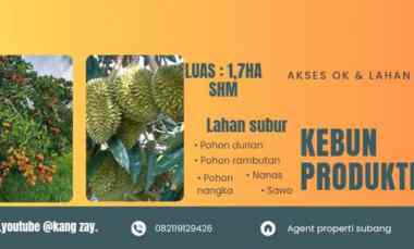 Tanah Dijual di Subang