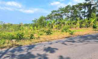 Lahan 1 Hektar Cocok untuk Gudang Karanganyar