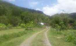 Lahan 30 Hektar Prambanan Klaten Terkondisi 350rb/m2