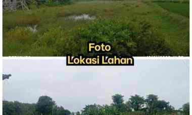 Tanah Perumahan Dijual 5,4Ha untuk Perumahan 400rb/m2 dekat Kota Solo