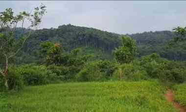 Tanah Dijual di Subang