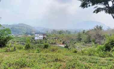 Tanah Dijual di Desa Duyung, Kec. Trawas, Kabupaten Mojokerto, Jawa Timur 61375