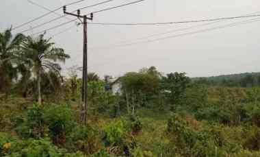 Lahan Kavling Pinggir Cikeusik