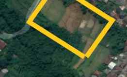 Lahan Kebun 1,6 Milyar di Bojong Murni Bogor