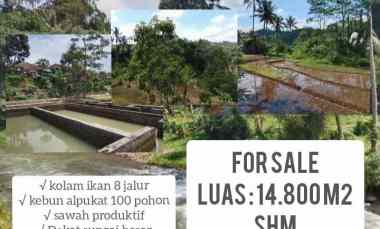 Tanah Dijual di Subang