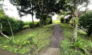 Lahan Pertanian Area Strategis Gianyar