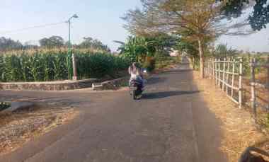 lahan perumahan 1 1ha lokasi klaten strategis 550rb m2