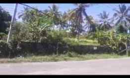 Lahan Pinggir Jalan Raya Bayah