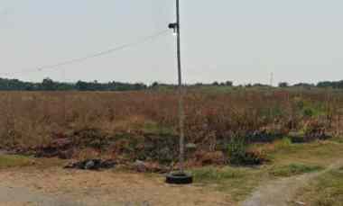 Lahan Plot Industri Pergudangan Tambak Sawah FULL URUK