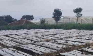 Tanah Dijual di Jl abdul gani atas kota Batu