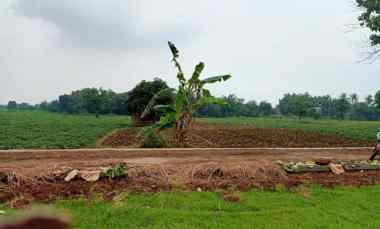 Tanah Dijual di Pancalang kuningan jabar