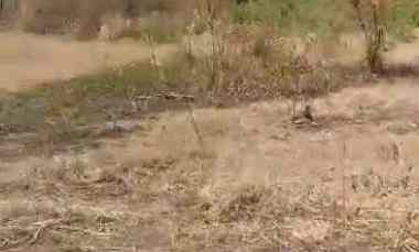 Tanah Dijual di Mundu cirebon jabar