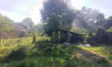 Tanah Disewakan di Ubud, Gianyar, Bali