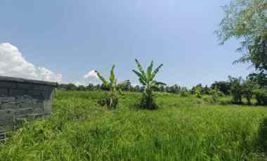 Pink Zone Land For Leasehold in Tebongkang Ubud