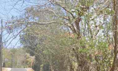 Tanah Disewakan di Belimbing Sari, Pecatu, Bali