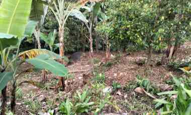 Lokasi Murah di Gn Geulis Bogor