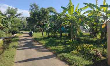 Tanah Dijual di Tarikolot kec. pancalang kab. kuningan