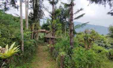 lokasi tanah di mega mendung bogor