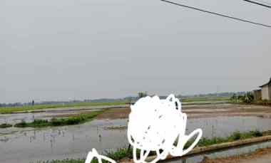 Luas Tanah 2 Hektare