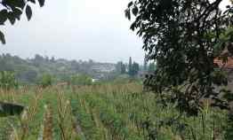 Murahhh Harga Dibawah Pasar Kavling Setiabudi Regency