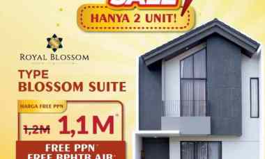 New Cluster Royal Blossom