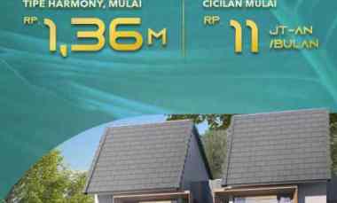 New Launching Cluster Elaia