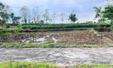 Pekarangan Datar 250 juta Mojogedang Karanganyar