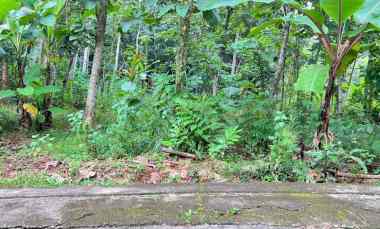 Tanah Dijual di Mojogedang, Karanganyar, Jawa Tengah