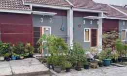 Perumahan Subsidi Mojokerto Murah - Free Realisasi