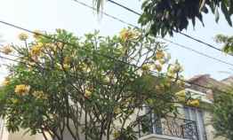 Rumah di Pondok Indah 2 Lantai Bagus Lok Strategis di Alam Segar