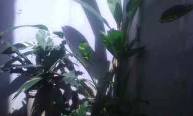 Rumah Cluster Puri Beta 2 Tangerang