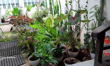 Rumah Dijual di Cilandak