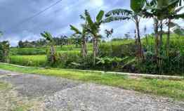 Rumah Joglo Istimewa Bonus Ruko Karanganyar