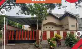 Rumah Dijual di Kaliwates