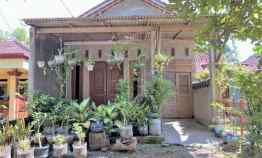 Rumah Minimalis Tepi jl Raya Sragen