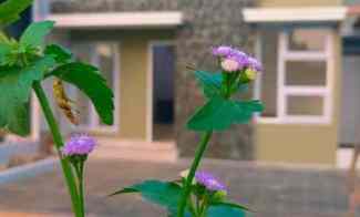 Rumah Dijual di Jl. Raya mukhtar sawangan village cluster swarna asri