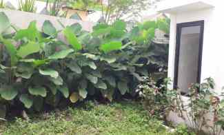 Rumah Dijual di Ciomas Bogor