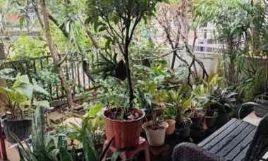 rumah siap huni bukit golf cibubur