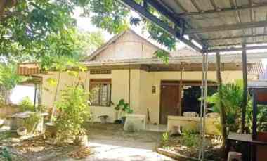 rumah tengah kota pusponjolo semarang
