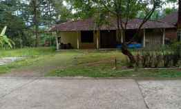 Rumah Bonus Kebun Durian 2700m Siap Panen Kerjo Karanganyar