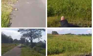 Tanah Dijual di Polanharjo Klaten