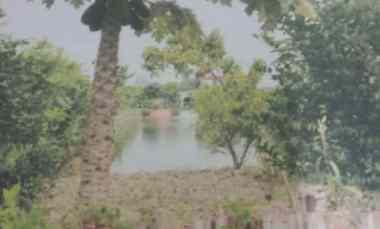 Sawah dalam Bentuk Kolam