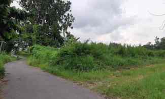 Sawah Murah Dijual di Area Kalasan