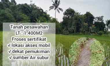 Sawah Produktif Daerah Ciater Subang Jawa Barat