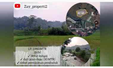 Sawah Produktif Daerah Subang Jawa Barat